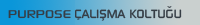 Purpose Çalışma Koltuğu
